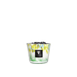 Baobab Collection Candles - Eden Forest Green - 10cm