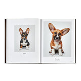 Graphic Image - Good Dog Ivory Bonded Leather - Book