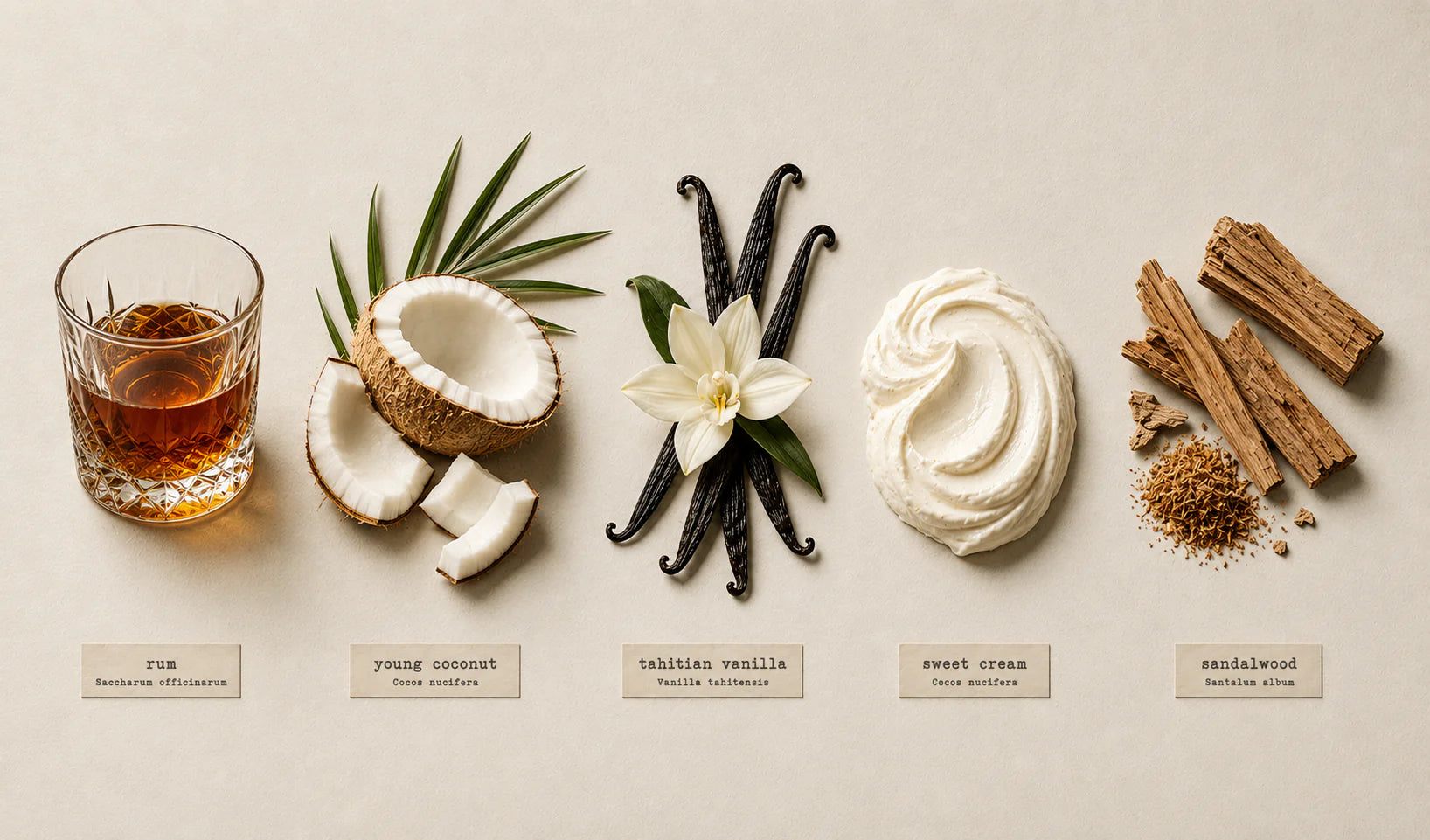 House of Mahina - Coconut Lait Candle 4oz