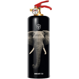 SAFE-T Design Fire Extinguisher